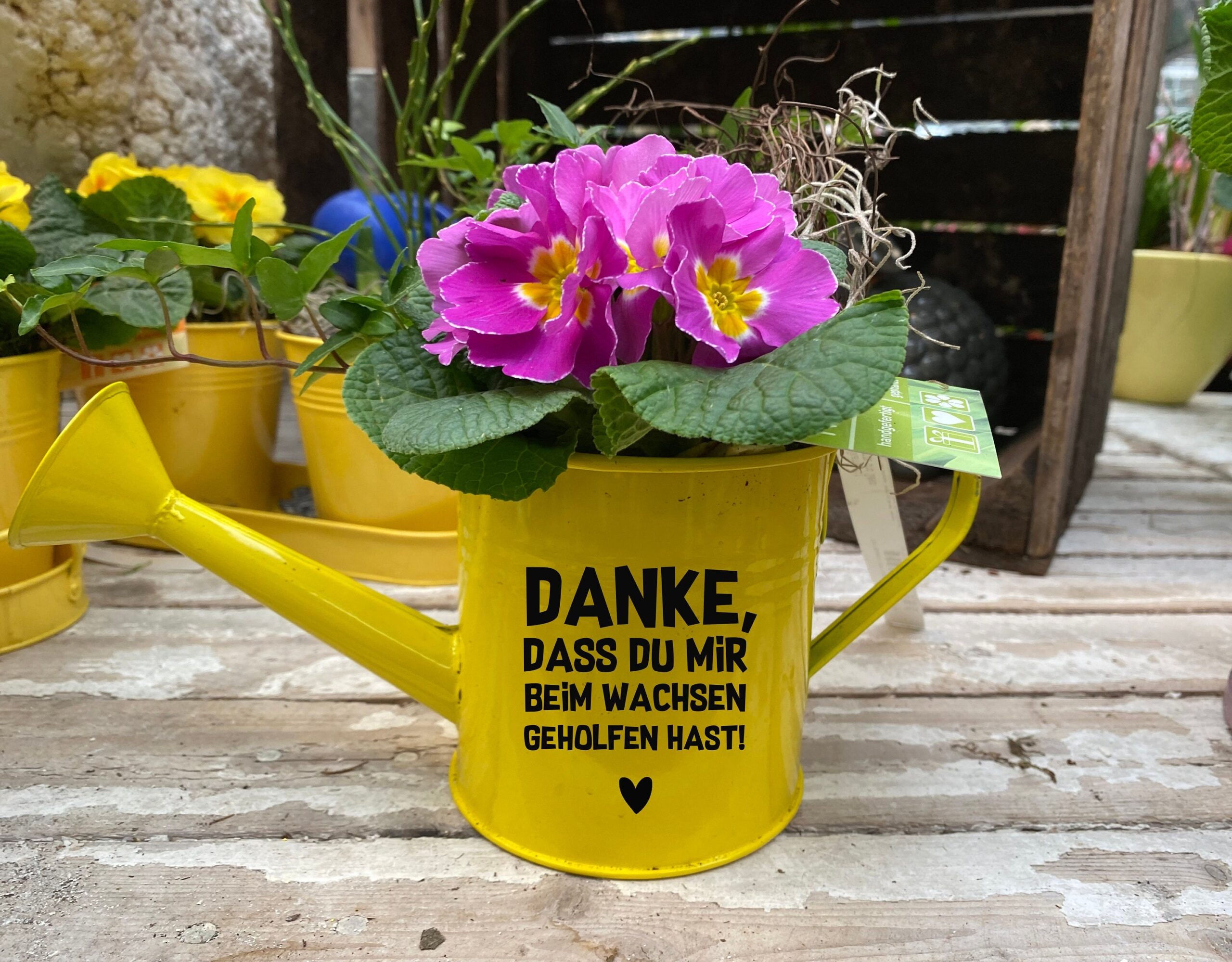 AUFKLEBER "Danke, dass du mir beim wachsen geholfen hast", Abschiedsgeschenk Kindergarten, Schule, Tagesmutter, Kita, Lehrerin, Sticker