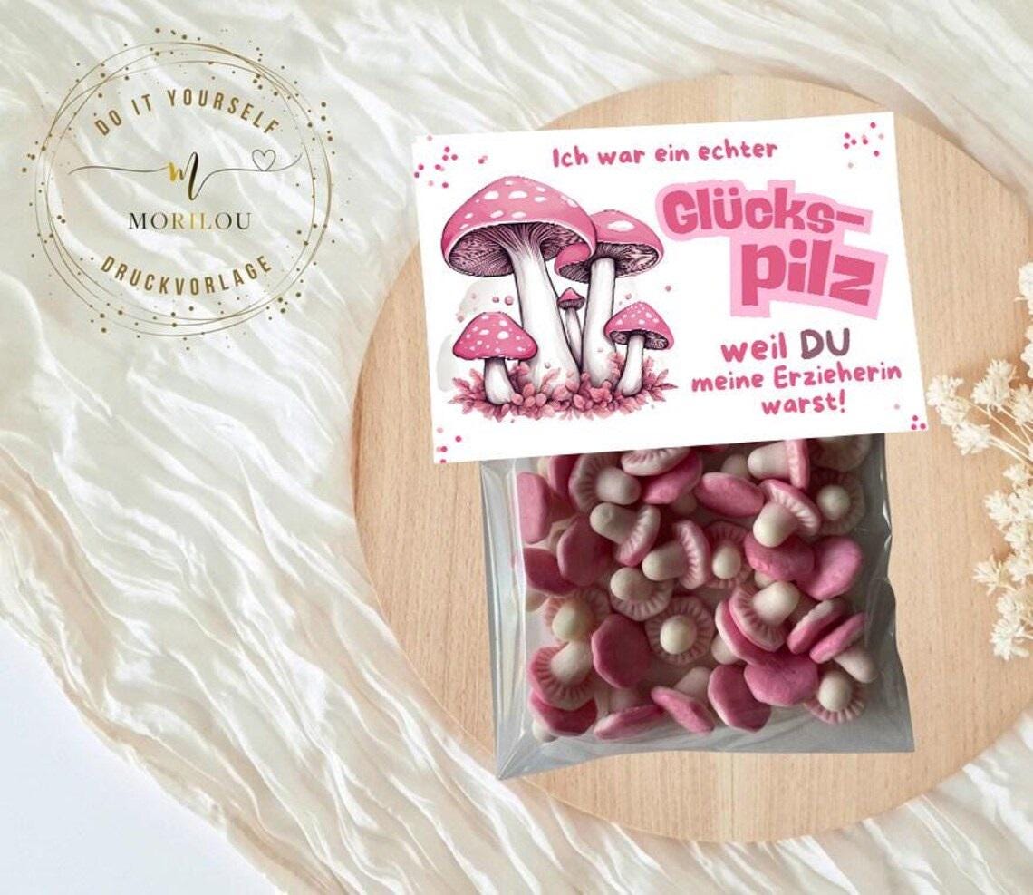 Abschiedsgeschenk für Erzieherin, Druckvorlage für Glücks-Tütchen (PDF), Kindergartenabschied, Dankeschön Erzieher, Kita Geschenk, DIY – Bild 2